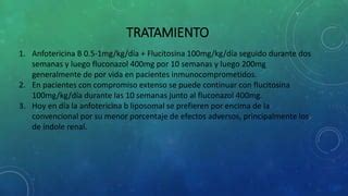 Criptococosis Meningea PPT