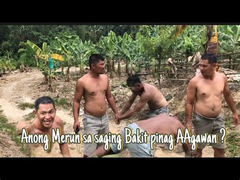 Bakit Anong Merun Sa Saging Bakit Pinag Aagawan YouTube