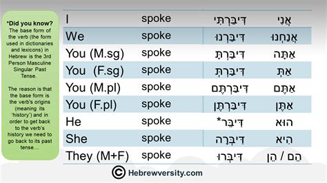 Binyan Pi El Past Tense Hebrewversity