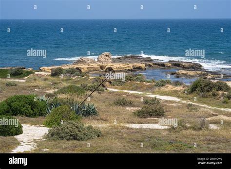 Mahdia tunisia mosque hi-res stock photography and images - Alamy