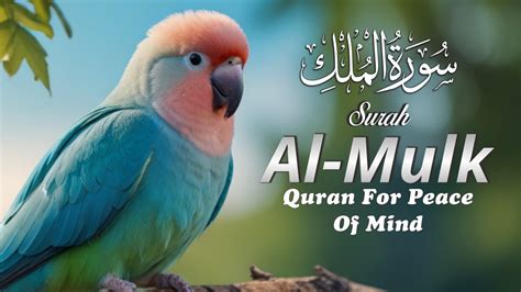 SURAH AL MULK سورة الملك Calming the Mind by Reading the Quran Tips