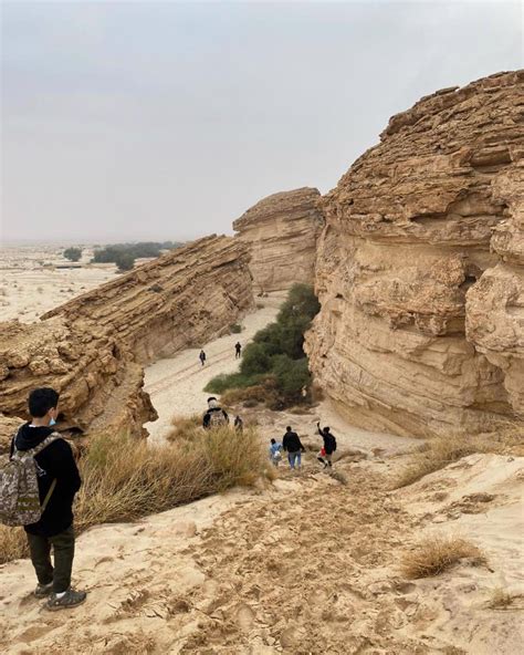 Bondai - Because King Khalid Royal Reserve or AKA Al... | Facebook