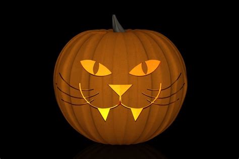 Cat Pumpkin Carving - SOLIDWORKS - 3D CAD model - GrabCAD