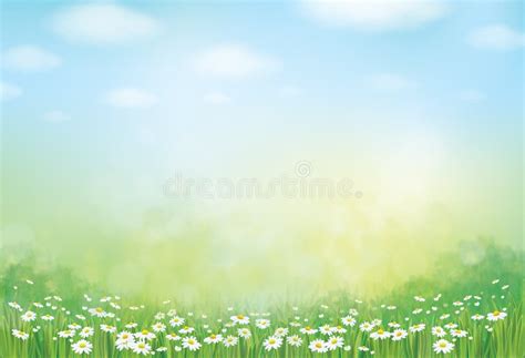 Green Nature Summer Background Stock Illustrations 841837 Green