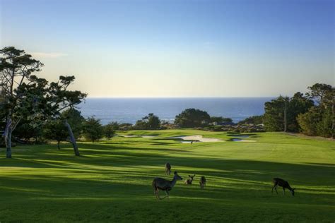 Spyglass Hill Golf Course Pebble Beach Resorts