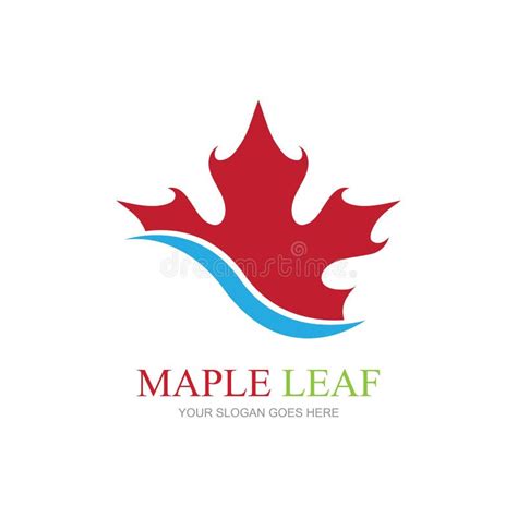 Maple Leaf Logo Template Vector Icon Illustration Maple Leaf Vector