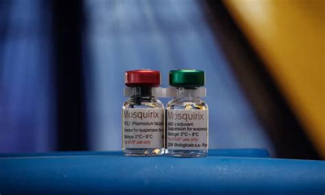 World's First Malaria Vaccine | The Griffins’ Nest