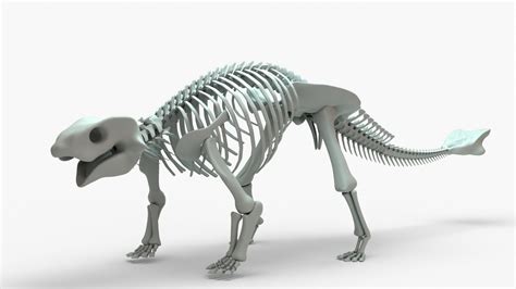 3D Ankylosaurus Rigged Skeleton model - TurboSquid 2131467