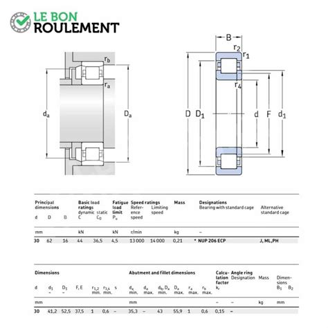 Roulement Rouleaux Cylindriques Nup Ecp C Skf Le Bon Roulement