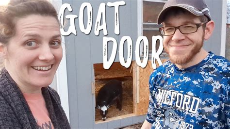 Homestead Hack Installing A Goat Door To Keep Rain Out Of The Barn