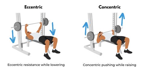 Pts Ultimate Eccentric Training Guide Acl Fall Prevention More