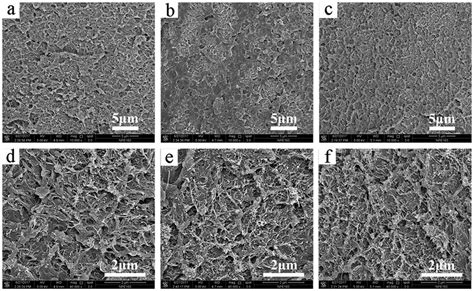 Sem Micrographs Of The Fractured Surfaces Of Ppek Mwcnt Composite Films