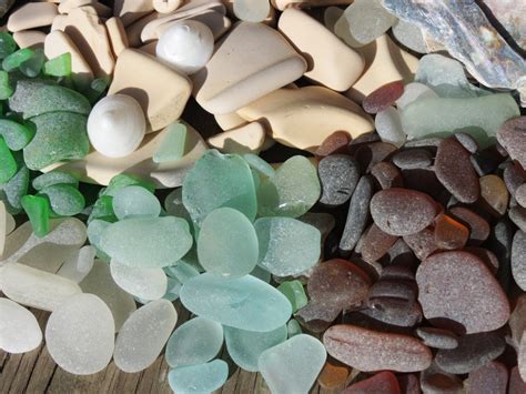 Beach Cottage Decor Bulk Beach Glass Sea Glass Terrarium Ocean Art Supply Driftwood Beach Stones