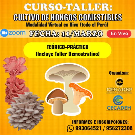 Curso Cultivo De Hongos Comestibles Gpo Desarrollo Humano