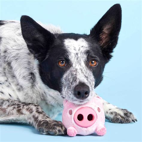 bark super chewer toys 6