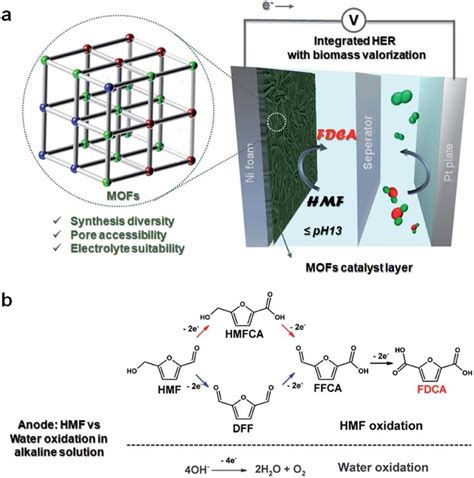 A Schematic Of The Electrocatalytic Biomass Hmf Valorization Over D