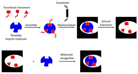 Chemosensors Free Full Text Carbon Electrode Modified With