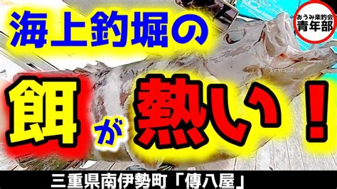 【釣り・海上釣堀】餌の頂上決戦！？本当に釣れる餌はどれ？ Youtube