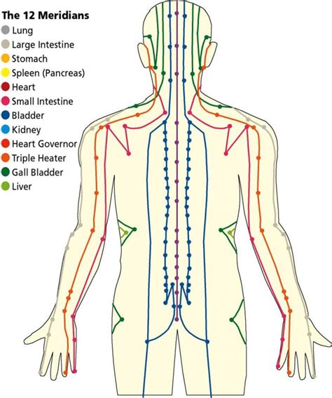 Energy Flow Understanding The Bodys Meridian Lines