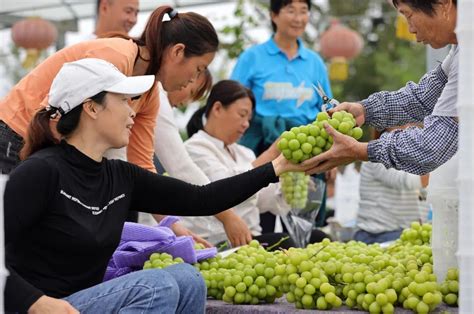 “大跳水”！这种水果，价格从上百元跌到十几元澎湃号·媒体澎湃新闻 The Paper