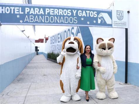 Hotel Para Perros Y Gatos Abandonados En La Cuauht Moc