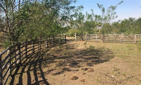 Fazenda Regi O De Miranda Ms Fazendas Mato Grosso