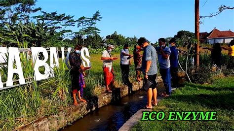 PEMBUATAN DAN SOSIALISASI PENTINGNYA ECO ENZYME YouTube