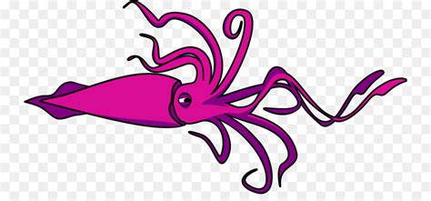 Squid Png Png Squid