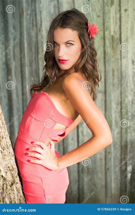 Sexi Beautiful Young Lady In Red Over Grey Stock Image Image Of Hair Clothes 57856239