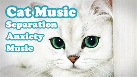 Soothing Music For Cats With Anxiety Deep Sleeping Music For Anxious