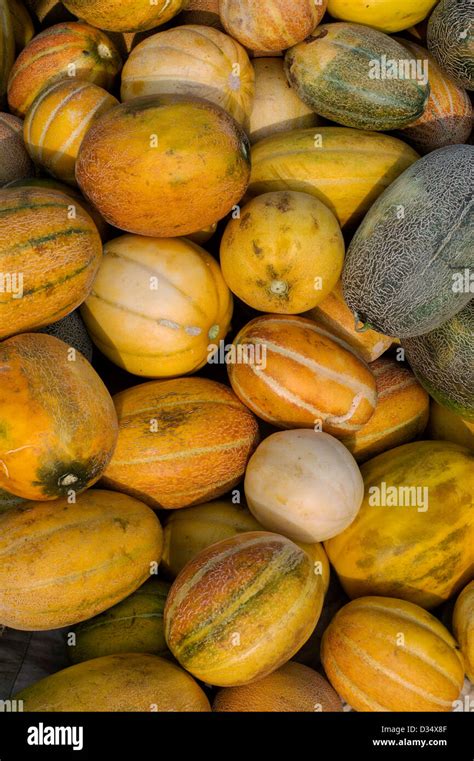 Frutta Indiana Immagini E Fotografie Stock Ad Alta Risoluzione Alamy