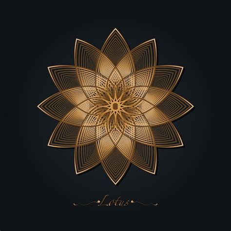 Sacred Geometry Flower Best Flower Site