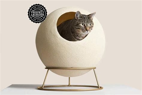 Modern Cat Beds That Are Beautifully Made And Easy To Assemble All