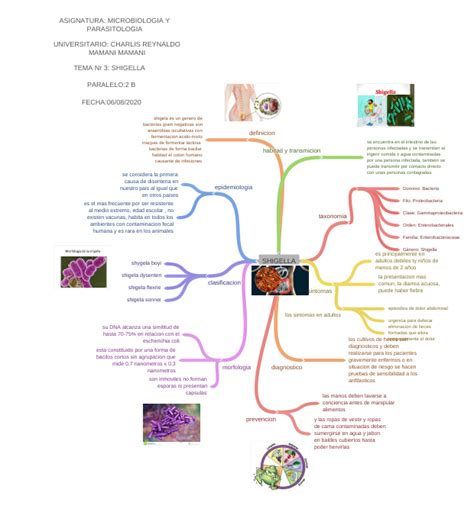 Shigella Trasnmision Shigella Sintomas Morfologia De Lashigelaa