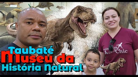 Museu Da Historia Natural Taubat Youtube