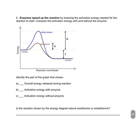 Enzyme Activation Energy Graph