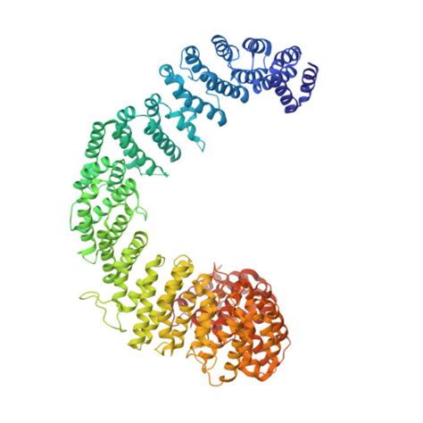 Rcsb Pdb Usp Structural And Biochemical Investigations Of A Heat