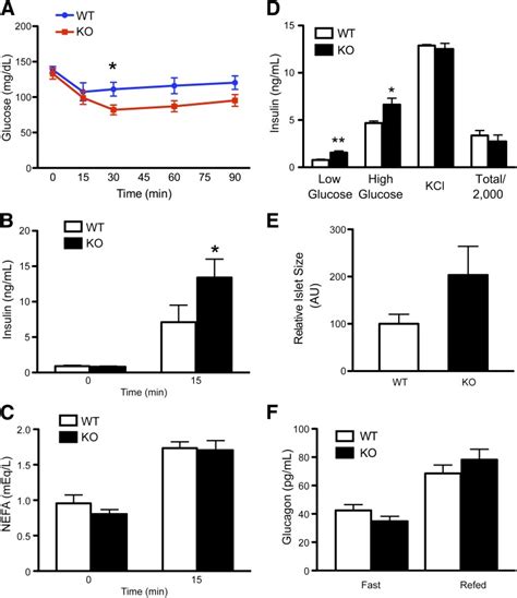 Altered Brainpancreas Axis In Syn Foxo1−− Mice Glucose A Insulin