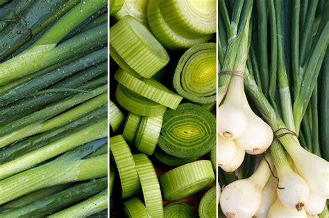 Do You Know The Differences Between Green Onions Scallions Spring