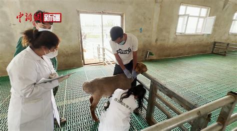 “丝路电商”活力足——乌鲁木齐持续推进跨境电商综合试验区建设 中新网·新疆