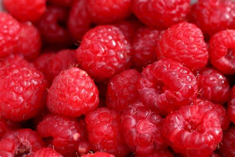 Free Images Plant Raspberry Fruit Berry Food Red Produce Fresh