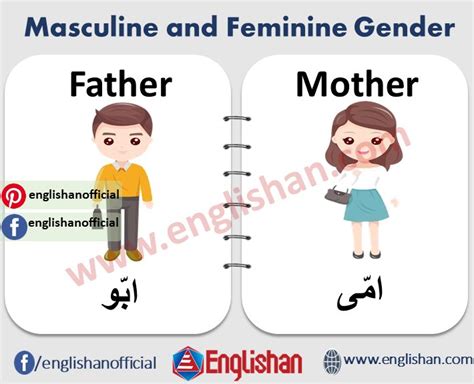 100 Examples Of Masculine And Feminine Gender List Englishan In 2021 Learning English For