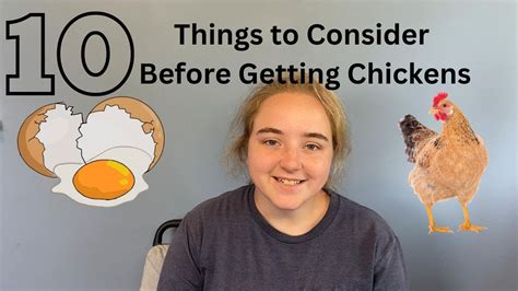 What You Should Know Before Buying Chickens YouTube