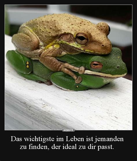 Das Wichtigste Im Leben Ist Jemanden Zu Finden Der Ideal Zu Dir Passt