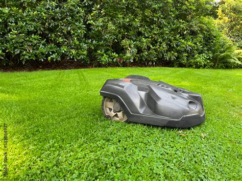 Modern robot lawn mower on green grass in garden Stock Photo | Adobe Stock