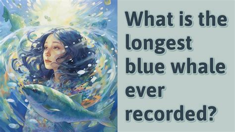 What Is The Longest Blue Whale Ever Recorded YouTube