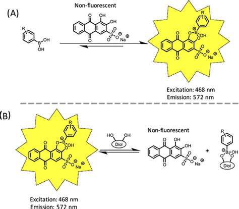 StructureReactivity Relationships In Boronic AcidDiol Complexation