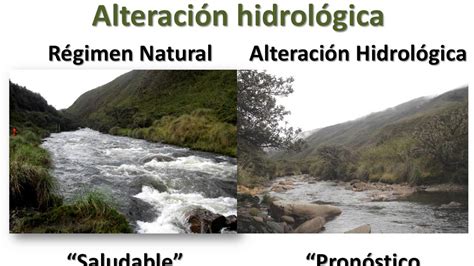 Indicadores De Integridad Ecologica En Cuencas Hidrograficas YouTube