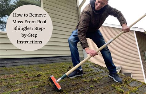 How To Remove Moss From Roof Shingles Step By Step Instructions