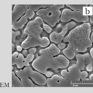 Microstructure Of Sample B A And B As Cast C After Heat Treatment